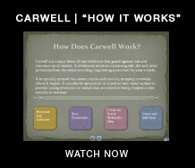 Carwell | How It Works